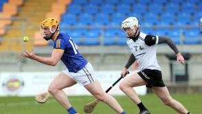 Longford hurlers bounce back with wonderful win over Warwickshire 
