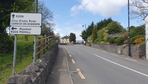 Call to halt all works on Fenagh junction