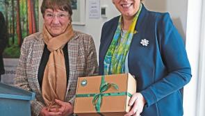 Minister highlights €25 million social investment in Longford 
