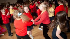IN PICTURES: Jives Aces get into the swing at Steelstown PS.