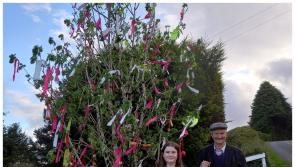 May Bush tradition continues in Laois