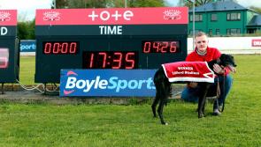 Derry dog is second fastest greyhound ever in Donegal!