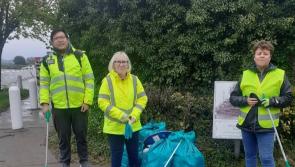 Louth groups urged to enter Supervalu Tidy Towns Water and Communities Special Award
