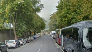 Kilkenny councillor welcomes new bill to protect urban trees and nature sites