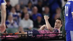 Seamus Coleman confirms no ACL damage in injury picked up at Leicester City