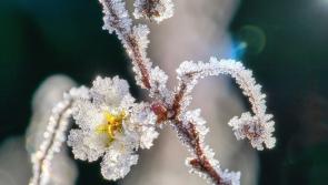 Think it’s nippy for May? -5.6°C recorded in Glenties on this day in 1979