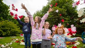 Jam-packed programme for the 18th Bealtaine Living Earth Festival 