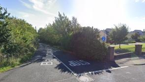 Objectors succeed in halting  estate planned for Laois village 