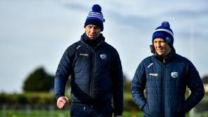 Laois hurling coaches handed down suspensions from the Central Hearings Committee