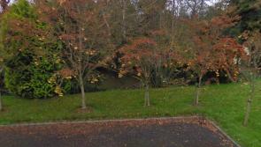 Council seek to dredge Portlaoise lake