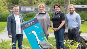 Pictures: Waterways College ecology trainees awarded certificates in Kilkenny