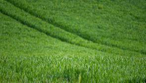 Landowners were not directly informed that they have to pay new tax