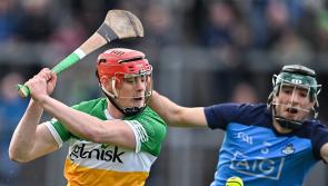 Leinster U-20 hurling final between Offaly and Wexford fixed for Carlow