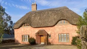 PROPERTY: Charming thatched roof house up for grabs in Waterford - check it out!