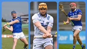 Laois hurling trio chosen in GAA.ie Team of the Week