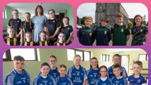 IN PICTURES: Laois kids show their creative talent at GAA Sc&oacute;r na bP&aacute;ist&iacute;