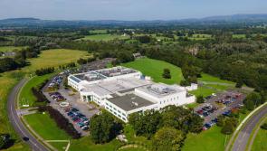 Dozens of Limerick workers to be 'impacted' as medical devices company confirms job cuts