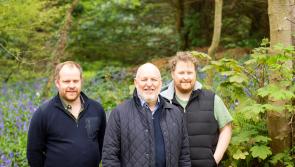 Derry technology firm bringing the magic to Stendhal Festival