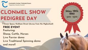 Green space in Tipperary will host farrier and spinning demonstrations 