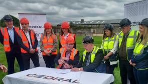 Kildare GAA: Cedral secure St Conleth's Park naming rights