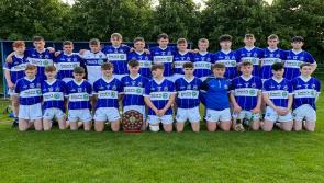 Castletown far too strong as they defeat Rathdowney-Errill to win Division One Minor hurling league