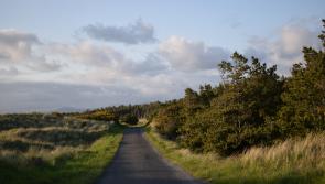 Coillte’s plans for Murvagh forest and sand dunes
