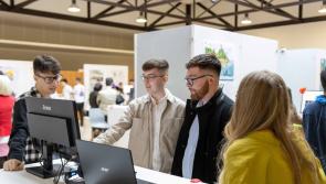 Dundalk IT Creative Arts students invite public to their annual F&iacute;s exhibition