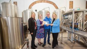 Brewery aims to brew up a win for Laois at National  Enterprise Awards
