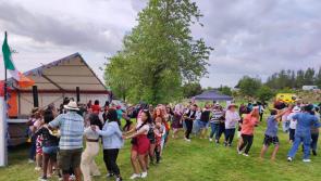 Laois brewery farm hosts Irish South Africa day