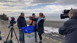 Louth’s Scenic Seafood Trail to feature on RTE's Nationwide next week