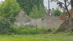 Thurles Lions Trust look to the future of housing at Stanwix Village and beyond