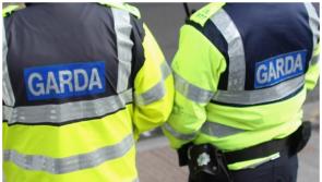 Gardaí investigating thefts from neighbouring houses in Carlow 