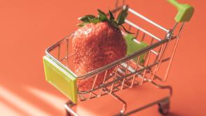 Some County Derry families struggling to keep up with food inflation
