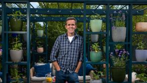 Laois garden man medals at Bloom