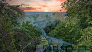 Join Newpark Hotel as it celebrates a year of Jurassic joy in Kilkenny