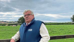 ICSA say draft legislation around agrifood regulator is too weak