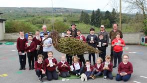 Celebrating World Curlew Day in Leitrim and North Roscommon