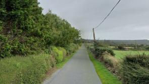 Long stretches of narrow road causing vehicle stand-offs in area of Kilkenny