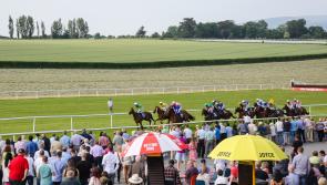 Bumper attendance expected at summer barbecue race evening in Clonmel 