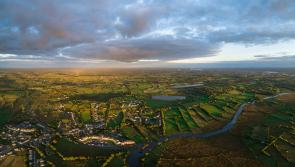  IFI warns of hot weather ‘thermal stress’ threat that kills fish