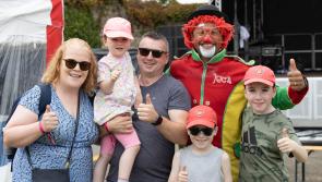 Laois fix needed so nobody falls at The Folly