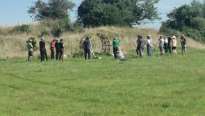 Pollinator walks and scything workshops to celebrate Kilkenny's ringforts and meadows