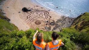 Clean Coasts volunteers collect 630kg of litter across Carlow 