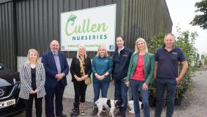 Ministers' visit to Carlow nursery showcases importance of native planting methodologies