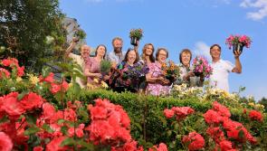 Paulstown's Shankhill Castle among venues for this year's Carlow Garden Festival