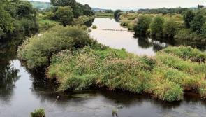 Councillor asks who is responsible for vegetation blocking River Finn at Clady?
