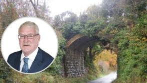 Call for remedial works on 'iconic' 140-year-old railway bridge
