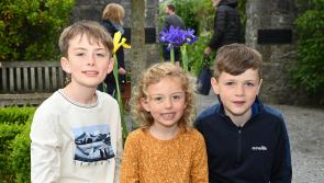 Pictures: Flower power a-plenty at Rothe House plant sale and garden day in Kilkenny