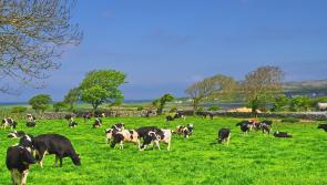 'Future of Farming' conference to take place in Carlow
