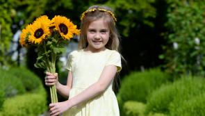 Local people urged to support North Louth Hospice Homecare by dedicating a virtual sunflower